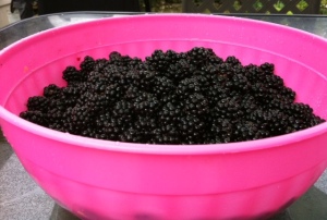 black berries 1