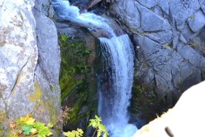 1375767_10200913535416699_1036853592_n