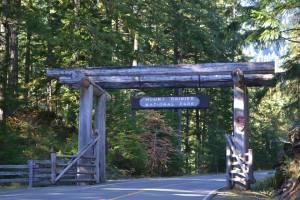 564081_10200913500175818_1011849963_n