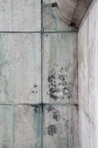 ©HannahLemholtPhotographyParisWall