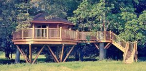 treehouse3