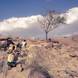 582225e7ea708f0bc791_600