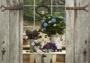 6a00e554d7b827883301b8d1ae8fd4970c-800wi