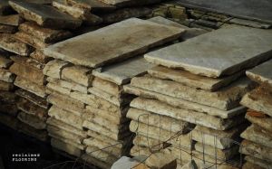 6a00e554d7b827883301b8d1ae8fd9970c-800wi