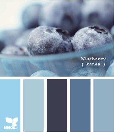 blueberry tones.jpg