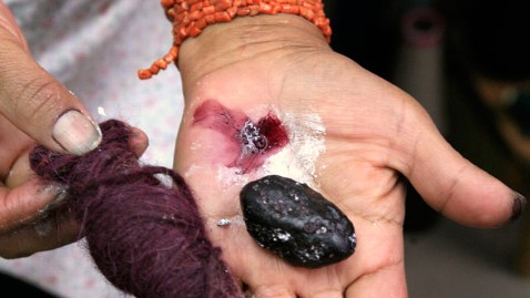 gty_cochineal_bug_tk_120326_wblog