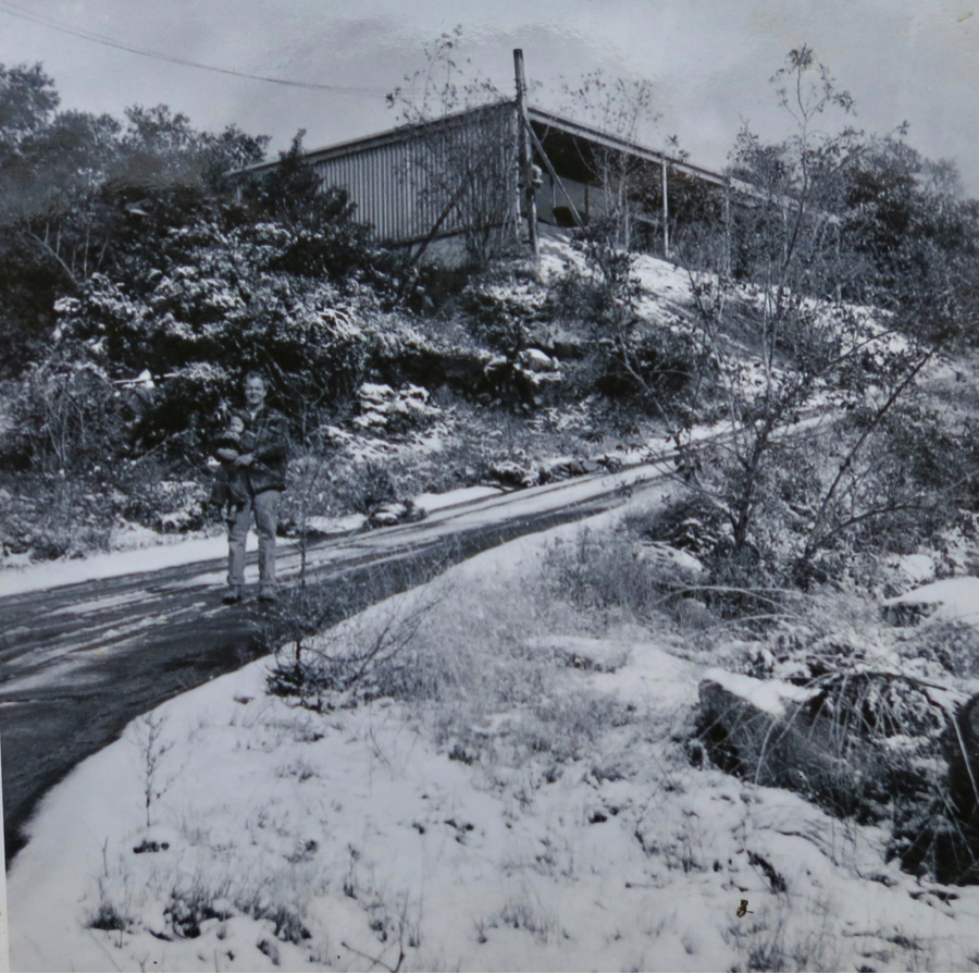 -couple-nonetheless-ha