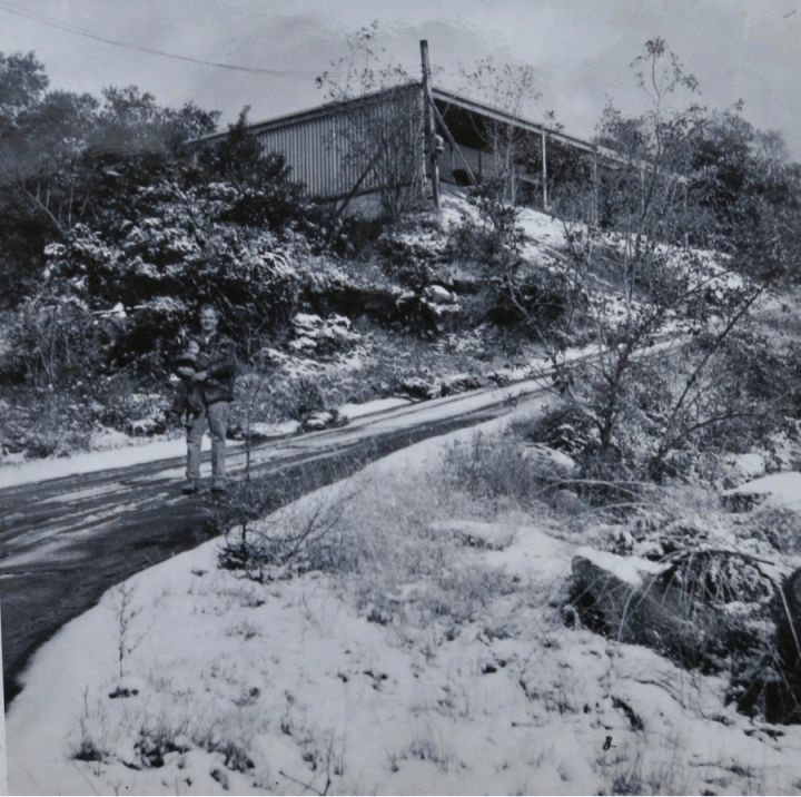 -couple-nonetheless-ha